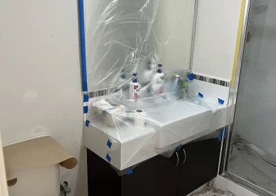 Professional Paint Services