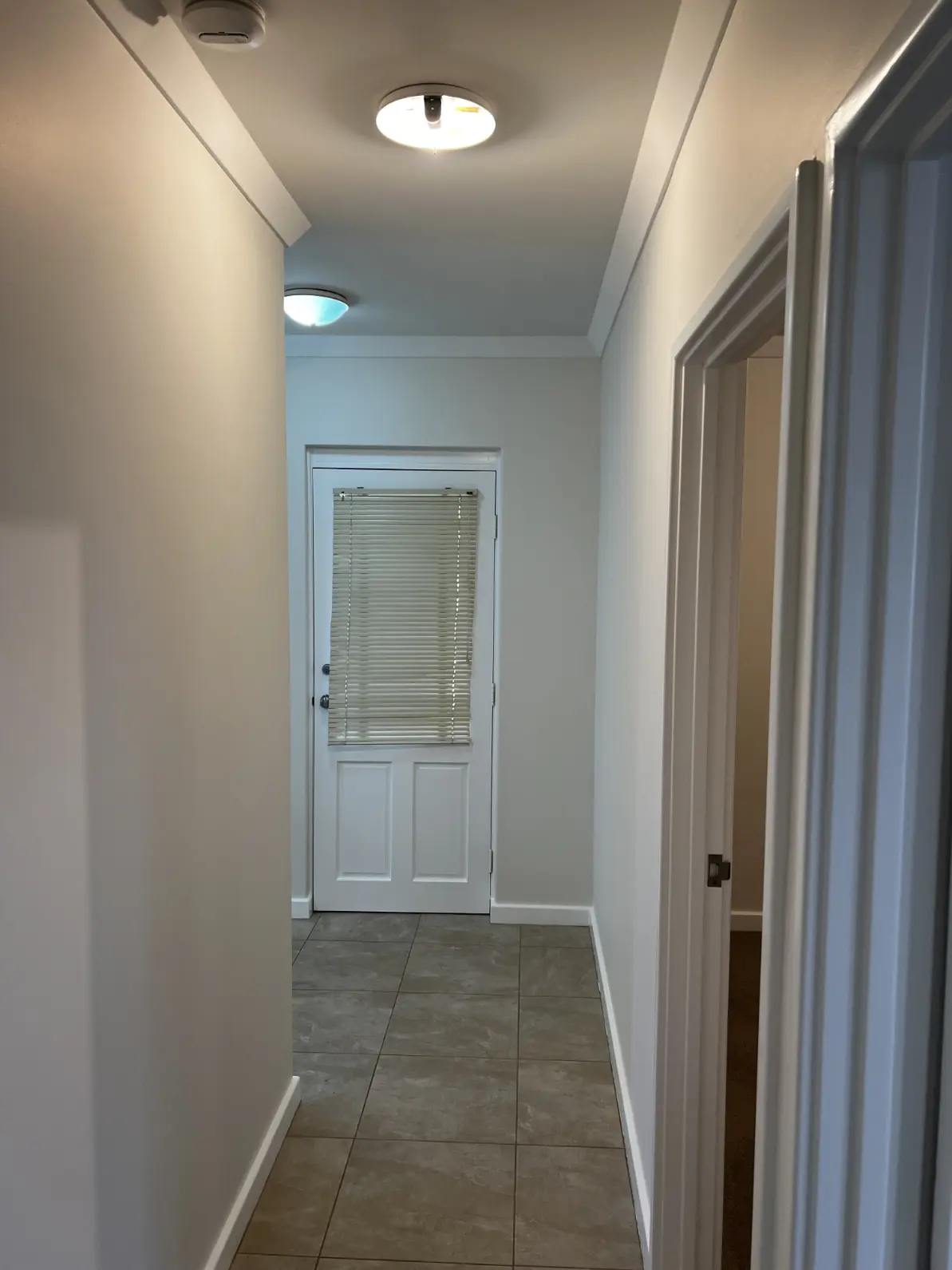 Professional Interior Painting in Cannington, WA Professional Interior Painting in Cannington, WA